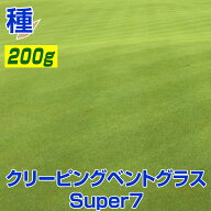 クリーピングベントグラス Super7 スーパーセブン 200g入り お庭の広さ3〜4坪用 寒地型芝の種 多年草 発…