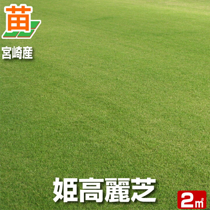 楽天市場 産地直送 宮崎産 姫高麗芝 張り芝用 ２平米 0 6坪分 芝生 暖地型 天然芝 園芸 芝生のことならバロネスダイレクト