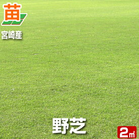 楽天市場 芝生 野芝の通販