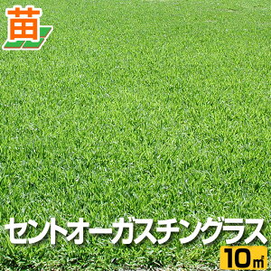 苗 天然芝 苗の人気商品 通販 価格比較 価格 Com