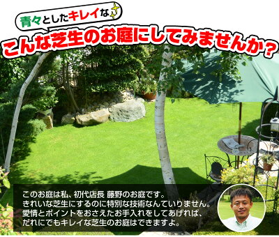 楽天市場 家庭で楽しむ芝庭づくり ブティック社 メール便 芝生のことならバロネスダイレクト