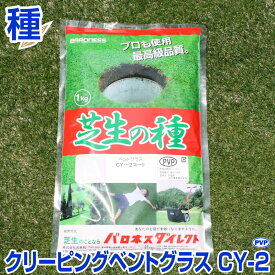 楽天市場 種 多年草の通販