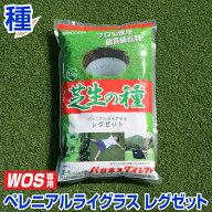 ペレニアルライグラス レグゼット 1kg WOS用 お庭の広さ5〜12坪用 バロネス寒地型 芝生の種 短年草 発芽…