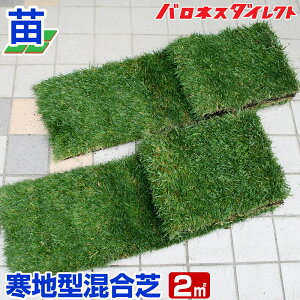 yYnzȖ؎Y n^ P^bL[u[OXg[tFXN ŗp v~Ac 2 0.6ؕ VR | n^ Ő̕c