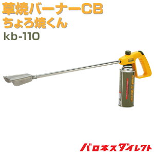 ăo[i[CB Ă kb-110 VtWo[i[ { ŏ Ăo[i[ Vxm