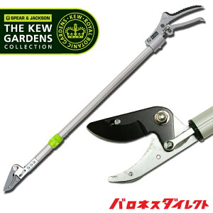 puh SpearJackson L[K[fRNV O[` vi[ }΂ ͂ ΂ nT~ oT~ }؂ | K[fjO