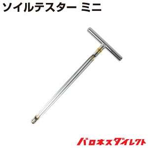 y\񒍕i 1TԂŏoׁz\CeX^[ y ~jyz