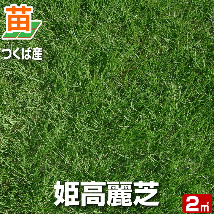 楽天市場 22年販売なし 産地直送 つくば産 姫高麗芝 張り芝用 2平米 0 6坪分 芝生 暖地型 天然芝 園芸 芝生 のことならバロネスダイレクト 楽天市場 22年販売なし 産地直送 つくば産 姫高麗芝 張り芝用 2平米 0 6坪分 芝生 暖地型 天然芝 園芸 芝生 のことならバロネスダイレクト