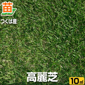 【産地直送】つくば産 高麗芝 張り芝用 10平米 3坪分 芝生 暖地型 天然芝 園芸