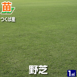 苗 天然芝の人気商品 通販 価格比較 価格 Com