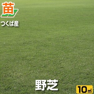 苗 野芝 Diy 工具の通販 価格比較 価格 Com