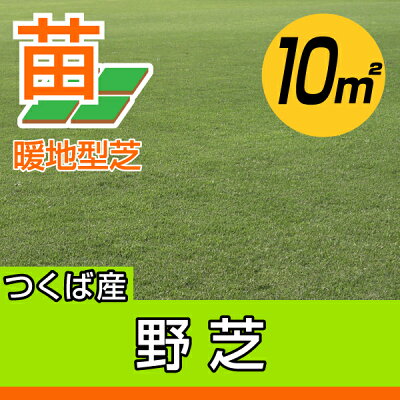 楽天市場 ９月下旬頃販売再開予定 産地直送 つくば産 野芝 張り芝用 １０平米 3坪分 芝生 暖地型 天然芝 園芸 芝生 のことならバロネスダイレクト