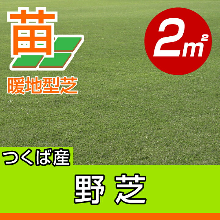 天然芝 バラ売り可能 約58平米分