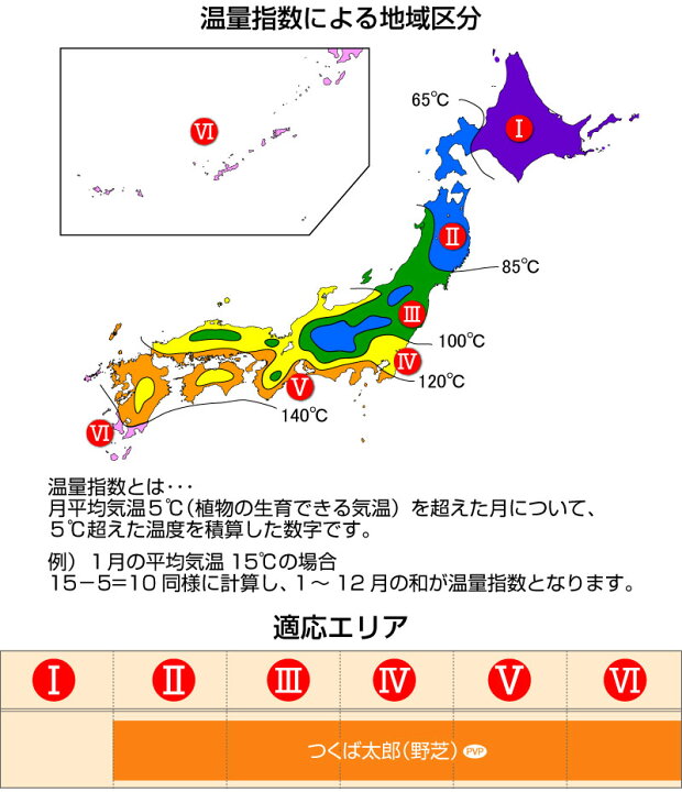 楽天市場】【2平米 つくば太郎】つくば産 つくば太郎 野芝 登録品種 