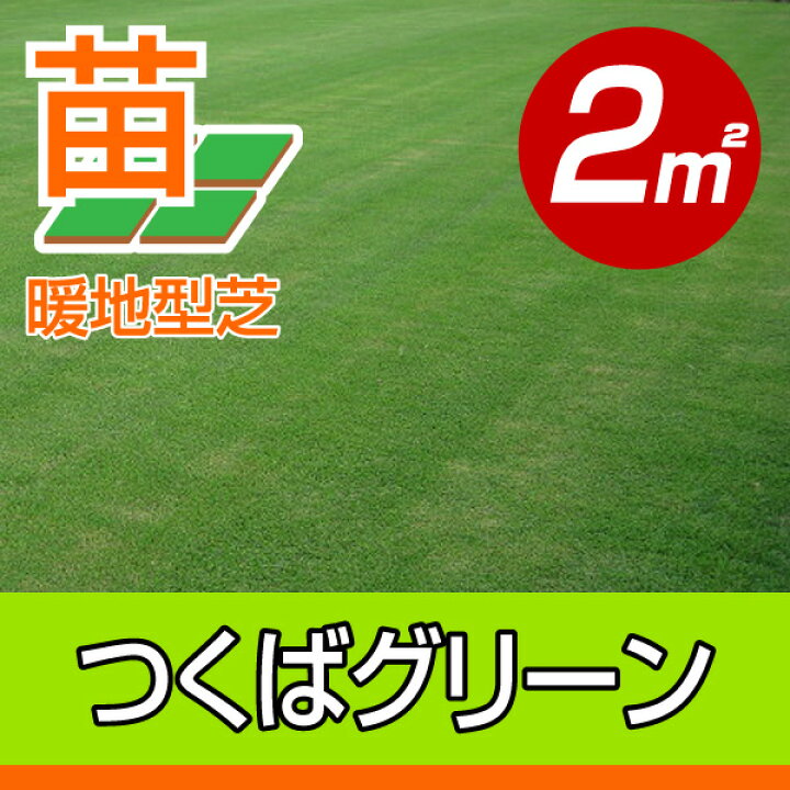 楽天市場 産地直送 つくば産 つくばグリーン 野芝 2平米 0 6坪分 芝生 暖地型 天然芝 園芸 芝生のことならバロネスダイレクト 楽天市場 産地直送 つくば産 つくばグリーン 野芝 2平米 0 6坪分 芝生 暖地型 天然芝 園芸 芝生のことならバロネスダイレクト