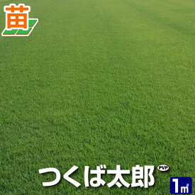 楽天市場 暑 さ に 強い 芝の通販 楽天市場 暑 さ に 強い 芝の通販
