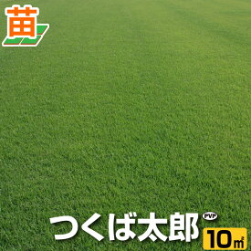 楽天市場 日陰 に 強い 芝生の通販