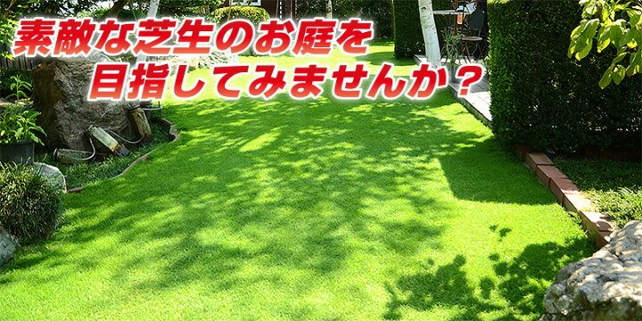 楽天市場 お得セット エアレーション用ツール コンプリートセット バロネス タインエアレーター バロネス ターフカッター 組立要 目土ならしレーキ 芝生のお手入れ 芝生のことならバロネスダイレクト