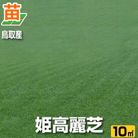【10平米 姫高麗芝】鳥取産 姫高麗芝 10平米 3坪分 張り芝用 プレミアム苗 芝生 暖地型 天然芝【産地直送】