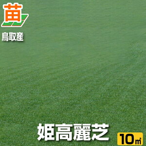 苗 天然芝の人気商品 通販 価格比較 価格 Com