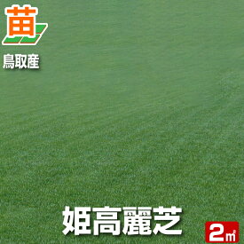 【2平米 姫高麗芝】鳥取産 姫高麗芝 2平米 0.6坪分 張り芝用 プレミアム苗 芝生 暖地型 天然芝【産地直送】