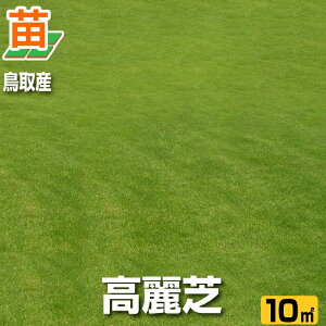 苗 芝生 高麗芝の人気商品 通販 価格比較 価格 Com 苗 芝生 高麗芝の人気商品 通販 価格比較 価格 Com
