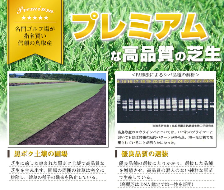 楽天市場】【1平米 TM9】鳥取産 TM9 ティーエムナイン 登録品種 