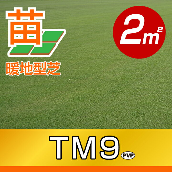 楽天市場】【2平米 TM9 】鳥取産 TM9 ティーエムナイン 登録 