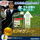 芝生用着色剤 バロネス Kアイグリーン 1kg/あす楽対応/共栄社/【店頭受取対応商品】