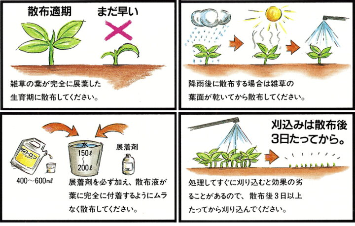 楽天市場】芝生用除草剤 ザイトロンアミン液剤 500ml 広葉雑草 クローバー チドメグサ ゴルフ場も使用 雑草対策 日本芝 高麗芝 野芝 : 芝生 のことならバロネスダイレクト 楽天市場】芝生用除草剤 ザイトロンアミン液剤 500ml 広葉雑草 クローバー チドメグサ ゴルフ場も使用 雑草対策 日本芝 高麗芝 野芝 : 芝生 のことならバロネスダイレクト