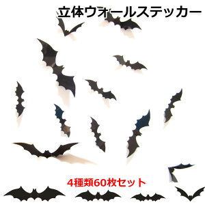 nEB  EH[XebJ[ 3D̃EH[XebJ[ G RE 3D ̃V[ w ~ ǎV[ CeA   fR[V  ͋C