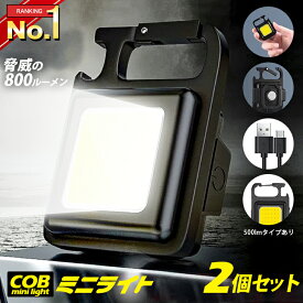 ＼2個セット／ COB LED ライト ミニライト 最強 800lm 懐中電灯 ミニ投光器 小型ライト TypeC 作業灯 投光器 500lm 充電式 高輝度 マグネット式 USB充電 小型 カラビナ せん抜き キャンプ COBライト 三脚 軽量