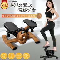 ◆アウトレット◆ 3WAY くびれ ダイエット ツイスト ステッパー 3way 静音 30°MAX角度 独自設計 BARWING…
