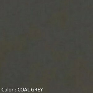 y2025FWVF/ēׁzDANTON _g fB[X N[lbN TVc OX[uXEFbgTVc n u CREW SWEAT T-SHIRT@DT-C0203 TCB@{K㗝Xi