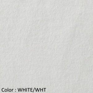 �y2026SS�V�F/�ē��ׁzDANTON �_���g�� �����Y �N���[�l�b�N �����O�X���[�uT�V���c �������u �X�E�F�b�g���C�N ���S���b�y�� ���� LONG SLEEVE T-SHIRT�@DT-C0200 TCB�@���{���K�㗝�X���i