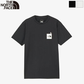 [2024ss新作] THE NORTH FACE ザ・ノースフェイス メンズ ショートスリーブアクティブマンティー グラフィックTシャツ 半袖 トップス S/S Active Man Tee　NT32479　日本正規代理店商品　[ポイント10倍]