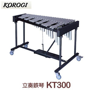 났ЁiRIMj@tSՁ@KT300@37@C40`C76@3IN^[u@qlgł