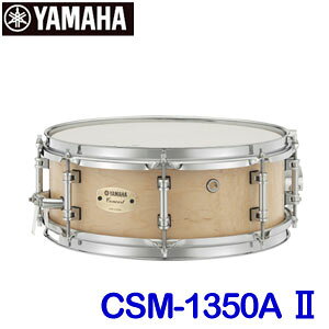 }n@RT[gXlAh@CSM-1350AII