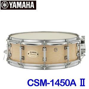 }n@RT[gXlAh@CSM-1450AII