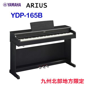 Bkn@zݒu@}n@ARIUS@YDP-165B@ubNEbh@YAMAHA@dqsAm@AEX@BknȊÔ͂͂󂯂ł܂BARԕAƒn