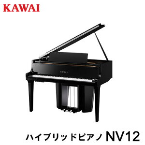 ySzgݒuzKAWAI JC@nCubhsAm N12@88Ձ@[J[ Vi