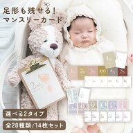 【ランキング1位】マンスリーカード 手形 足形台紙 命名書 リバーシブル シンプル ニュアンスカラー 月齢…