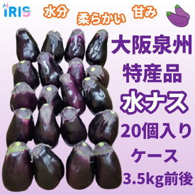 JA大阪泉州　水なす(C)　20個入り(約3.5KG前後)
