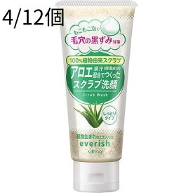 【4/12個セット】エブリッシュ アロエスクラブ洗顔
