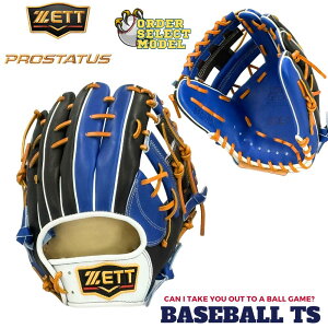 싅 [bg ZETT vXeC^X Ou I[_[ZNgf I[_[O[u csf p ہEV BRGPRO236  l x[X{[TS K-FIELD 