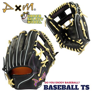 野球 ディーバイエム D×M 硬式内野手用グラブ U100 オーダーセレクトモデル グローブ 浦上レザー 高校野球 グラブ袋付き 送料無料 日本製 ベースボールTS