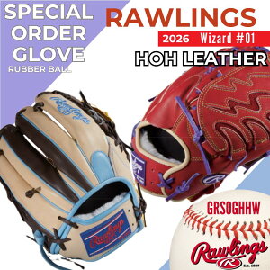ローリングス（Rawlings）軟式用オーダーグラブ・ミット中古品2021年 