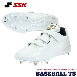 싅 GXGXPC SSK 싅XpCN SSF3010 O[[hTT-VW3 yʐ Obv XpCN ݃}WbNxg Z싅F  Œ  x[X{[TS