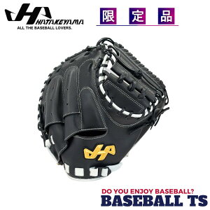 野球 ハタケヤマ HATAKEYAMA 軟式キャッチャーミット 捕手用 2025年FW限定品 PRO-M9H シェラームーブ 最高峰クラス 一般 大人 ベースボールTS K-FIELD 送料無料【0601】
