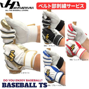 yhJT[rXz싅 n^P} HATAKEYAMA obeBOOu MG-B25 Ōp V[vU[ p VRvgp 